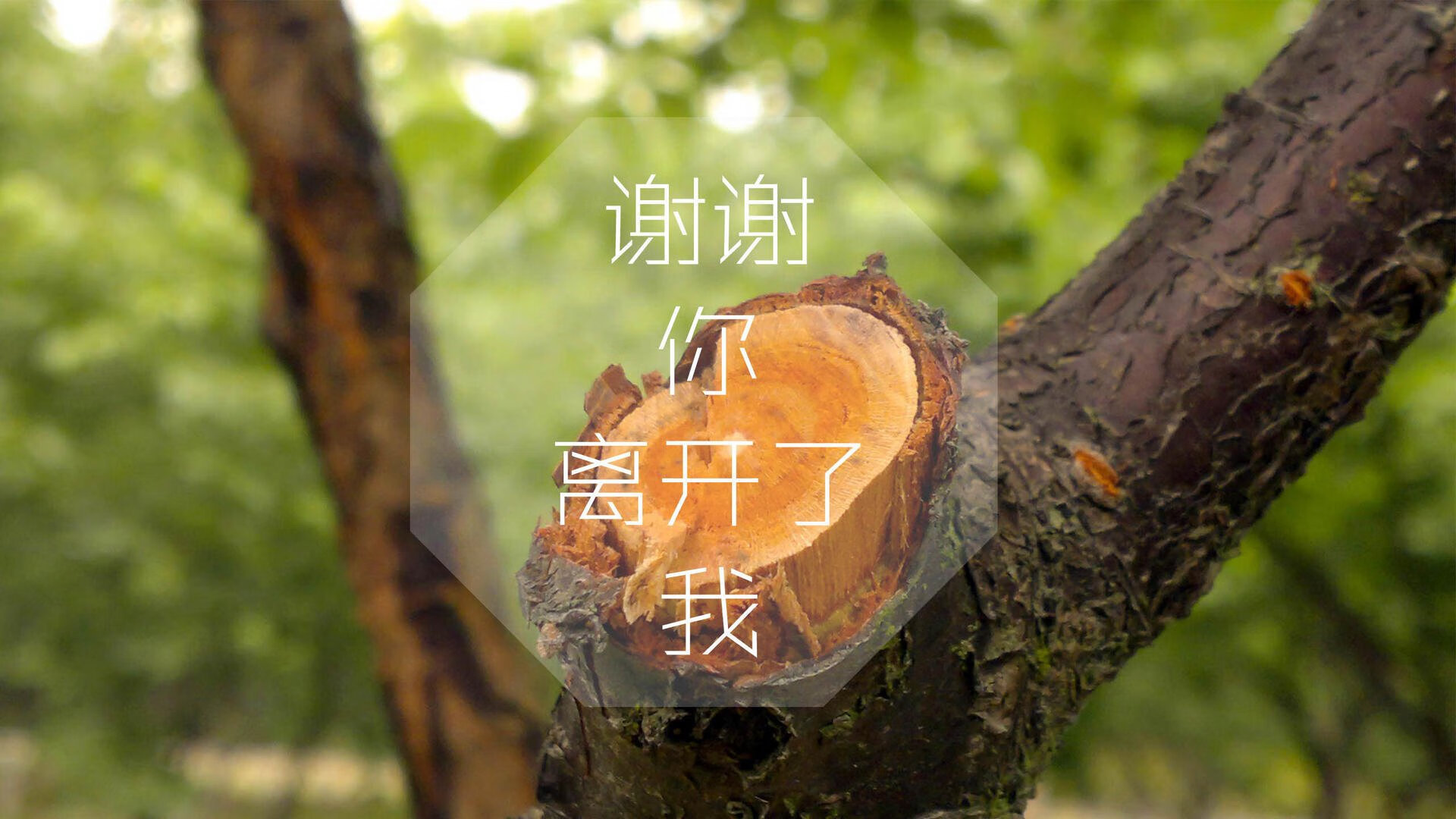 爱游戏体育-特色篮球文化旅游节丰富多彩，带动城市文化与经济发展，篮球文化主题餐厅