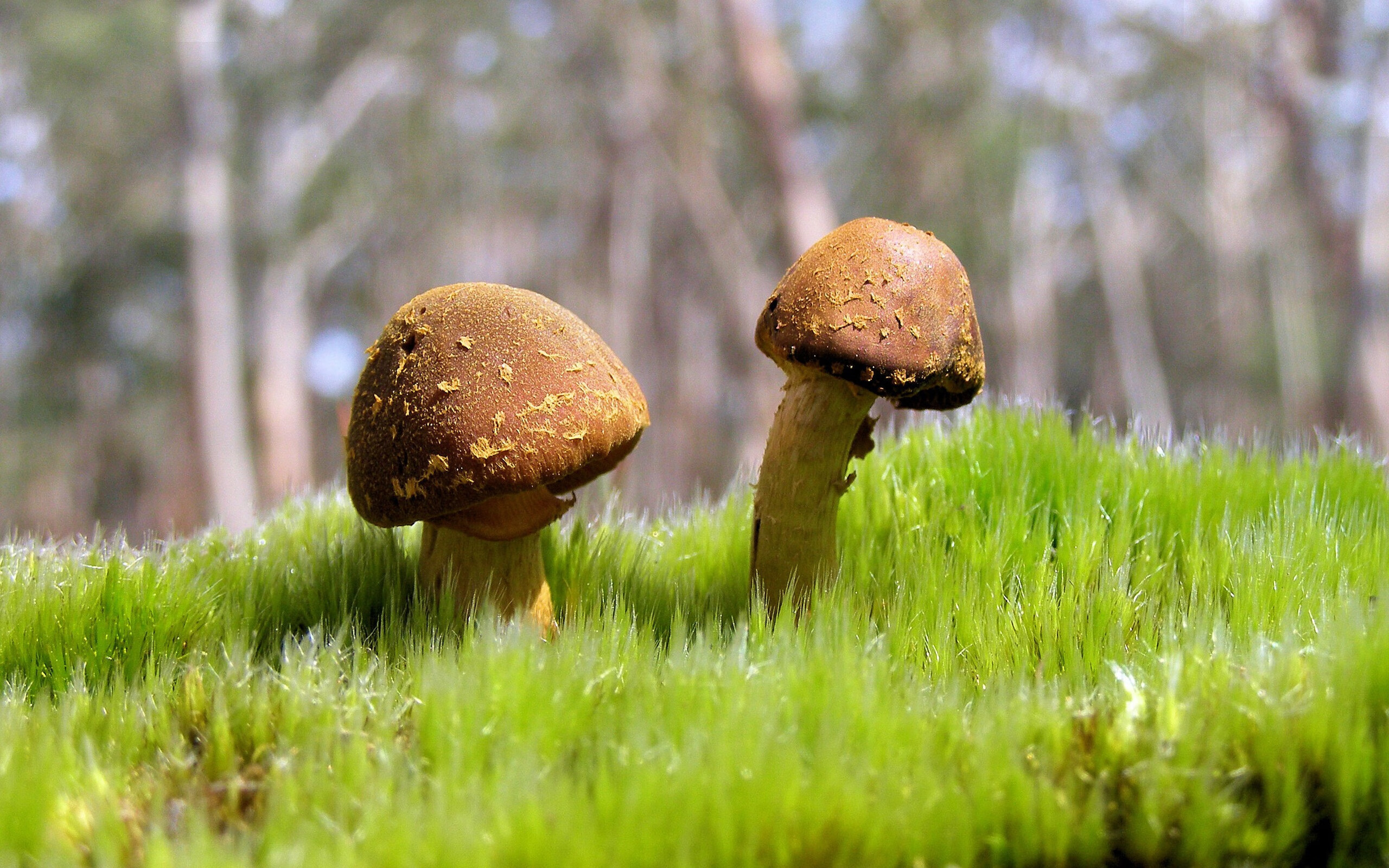 爱游戏app下载-超级对决：联盟顶级巨星的巅峰PK，超级对抗大赛完整视频