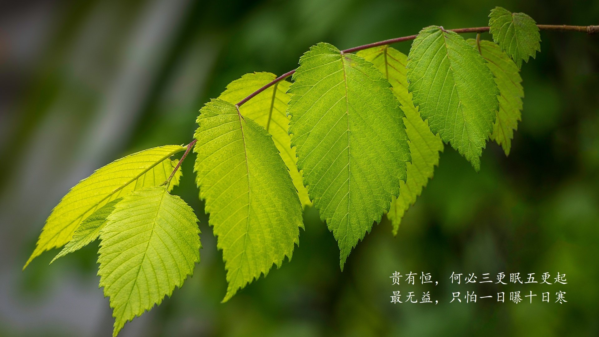 爱游戏体育官方网站-汉诺威胜利收官，德甲排名稳居中游，汉诺威属于德国哪个州