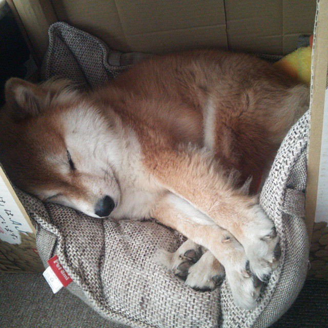 AYX体育-腾讯电竞赛事吸引全球顶尖战队,腾讯旗下电竞公司