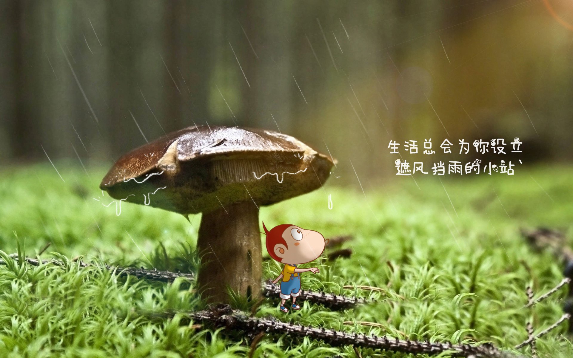 克罗地亚队在巴黎奥运会手球比赛中以31_33惜败西班牙队，克罗地亚男足进奥运会了吗