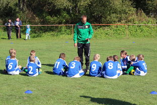 爱游戏体育app-球队教练组是否借助VAR数据辅助赛后战术修复，球员 教练