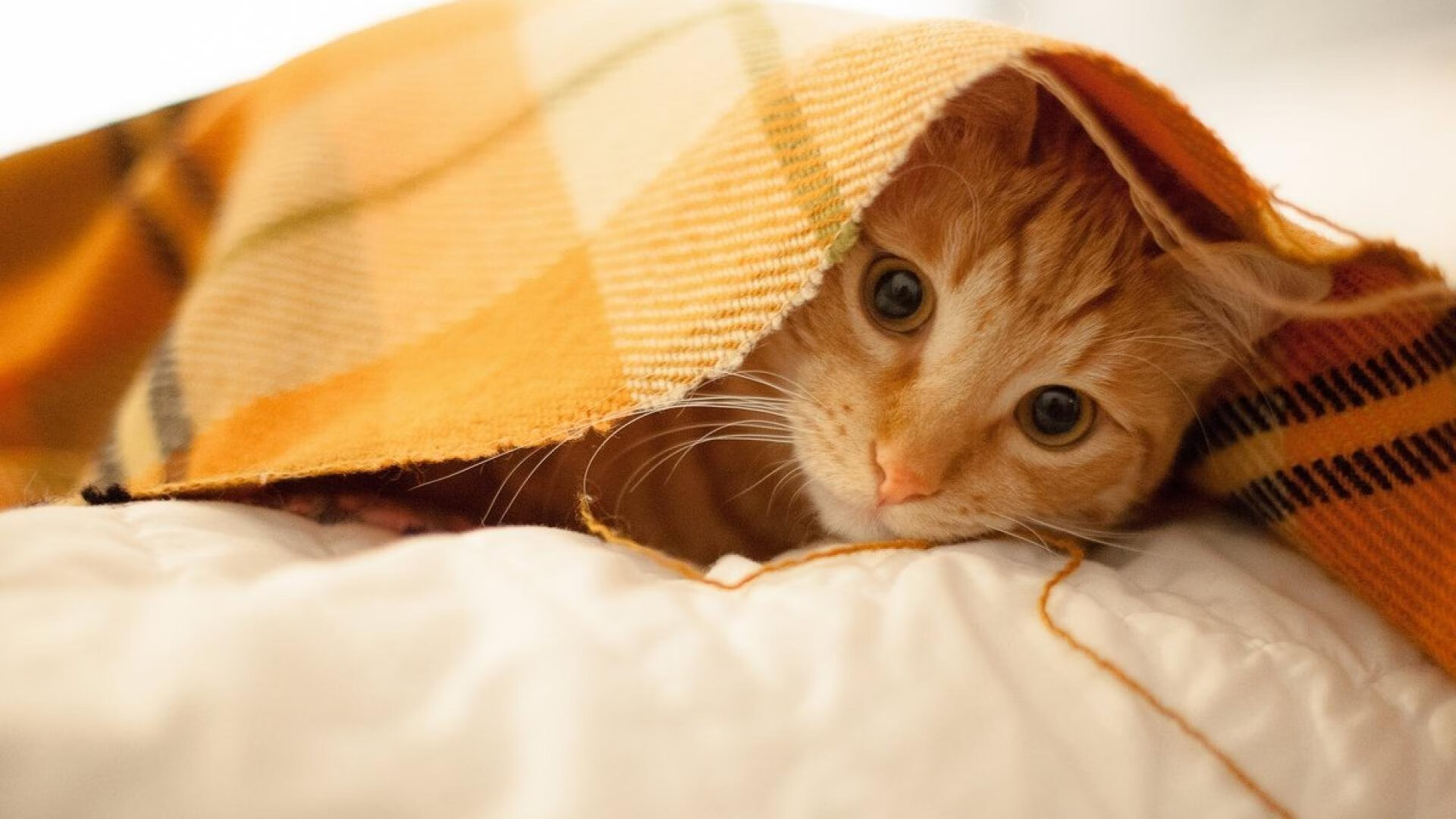 爱游戏下载-电竞官方数据平台开放公众访问功能强大,电竞go官网