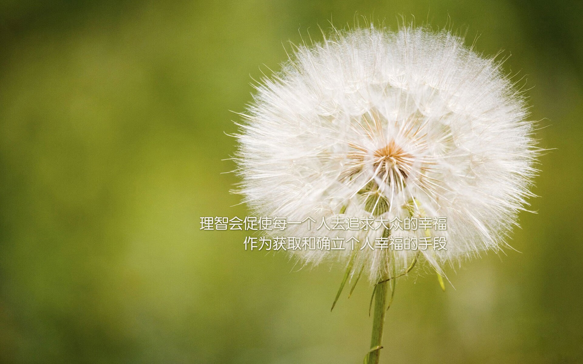 AIYOUXI.COM-丁俊晖呼吁建立标准化青训体系，丁俊晖是什么项目运动员