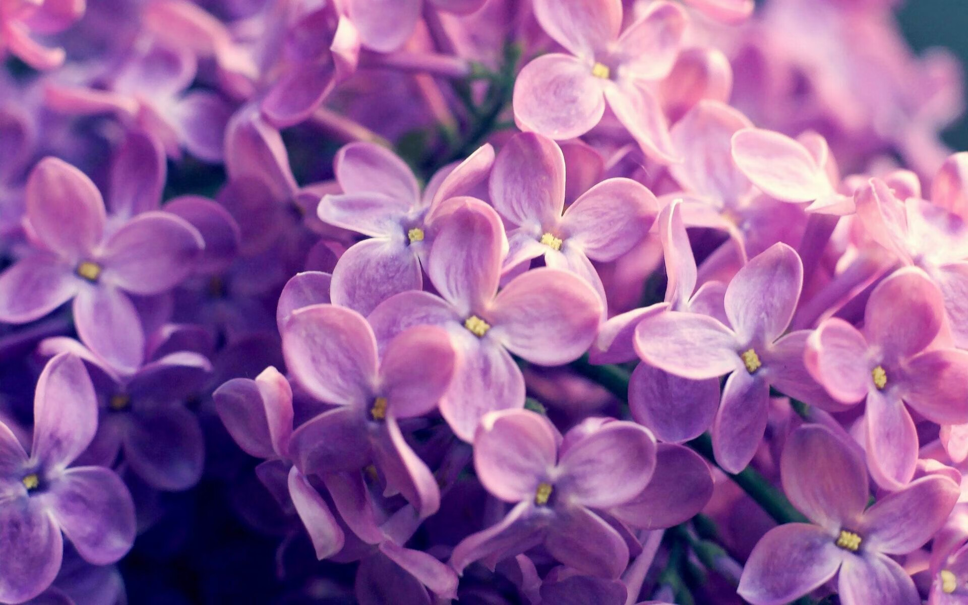 AYXSPORTSAPP-世界杯历史最佳教练名单盘点,历届世界杯最佳新人