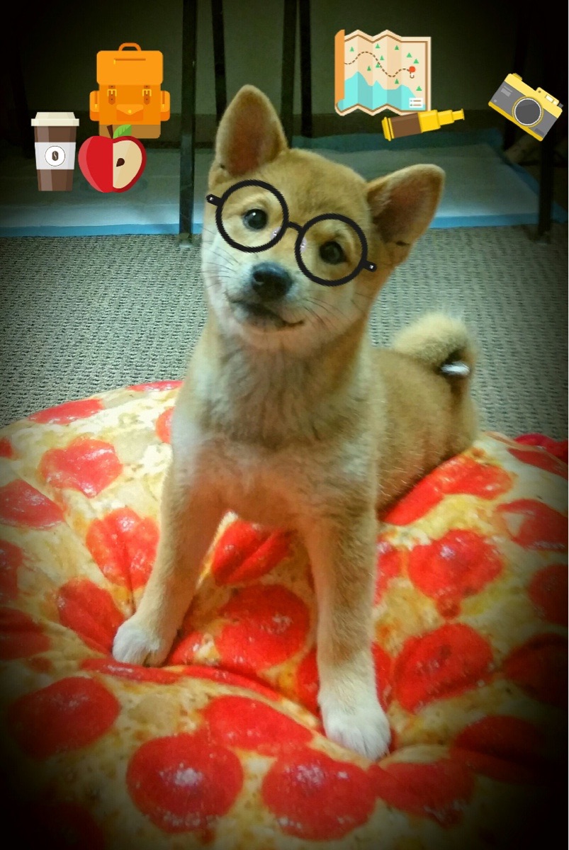 爱游戏娱乐网址-中国篮球启动比赛节奏训练课程强化临场表现力,篮球节奏型选手