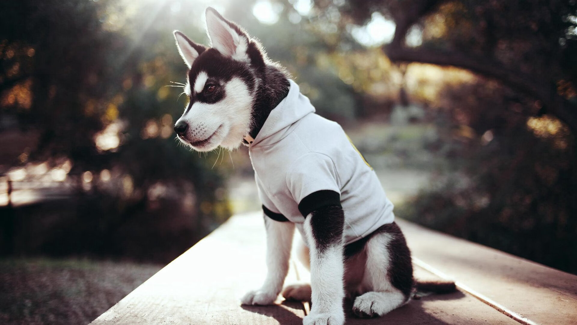 爱游戏-中国足球联赛推动各地球迷组织互访交流,中国地区足球联赛