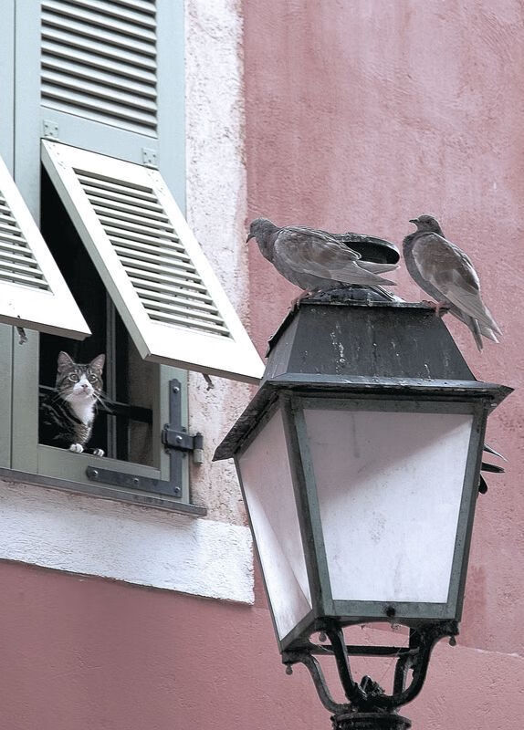 爱游戏 电竞-安东·李恩：凭借不懈的跑动和精准的传球，他为全黑队创造进攻机会