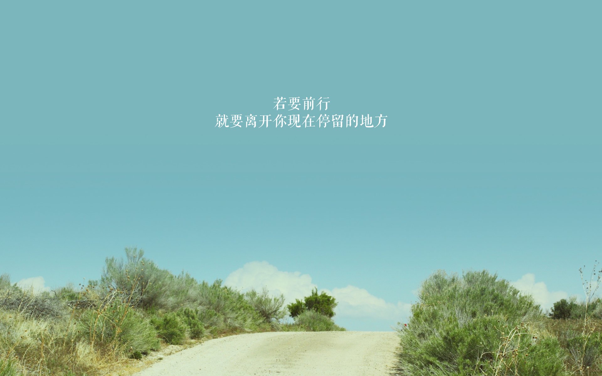 AYX GAMING-快船三名主力参加公益跑步活动,快船队全员